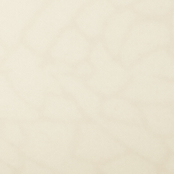 Cream/Navy