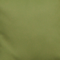 Fir Green