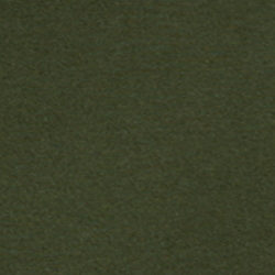 Vert nymphe