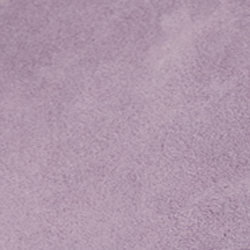 Wisteria