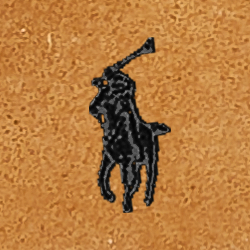 Castanho-claro