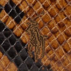 Brun python