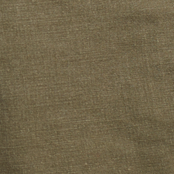 Olive canopée