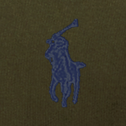Armadillo