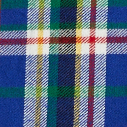 Royal/White Multi