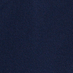 Cruise Navy