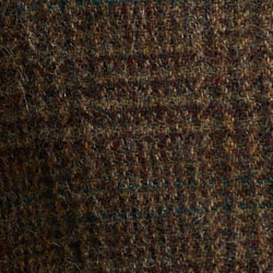 Ensemble fougères