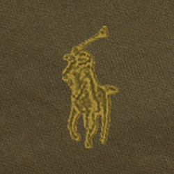 Olive canopée