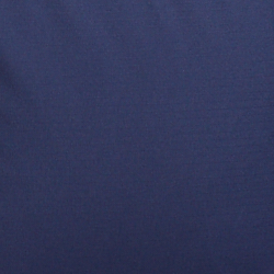 Cruise Navy