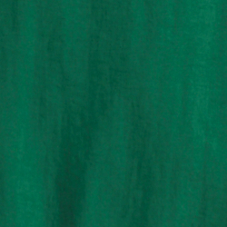 Vert Kelly