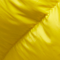 Citron pilé