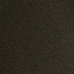 Fossil Green