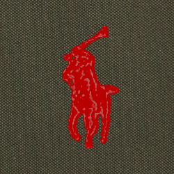 Armadillo/C8702