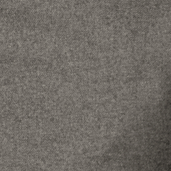 Gris clair classique