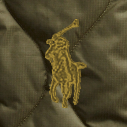 Olive canopée