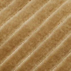 Sable expédition