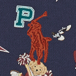Cheerleader Bear