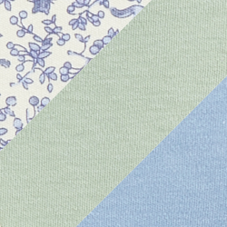 Renard bleu/Ton sur ton