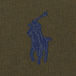 Armadillo/C7998