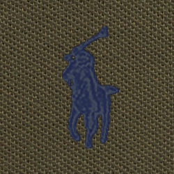 Armadillo/C7998