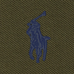 Armadillo/C7998