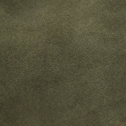 Olive classique