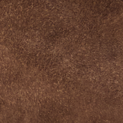 Chestnut Brown