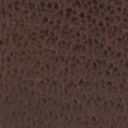Chestnut Brown