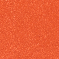 Harvest Orange