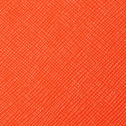Harvest Orange