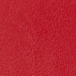 Martin Red