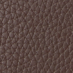 Chestnut Brown