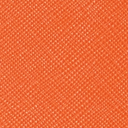 Harvest Orange