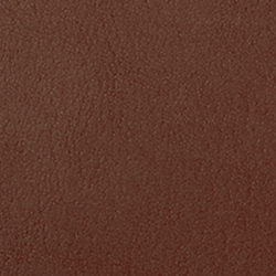 Chestnut Brown