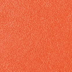 Harvest Orange