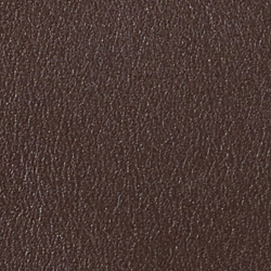 Chestnut Brown