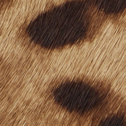 Leopard/Chestnut Brown