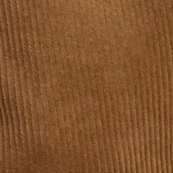 Camel classique