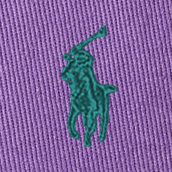 Spring Violet