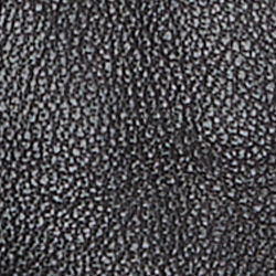 Black Multi