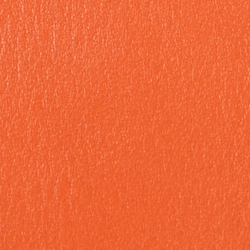 Harvest Orange