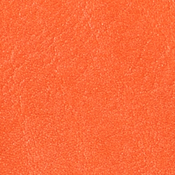 Harvest Orange