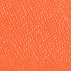 Harvest Orange