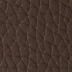 Chestnut Brown/Harvest Or
