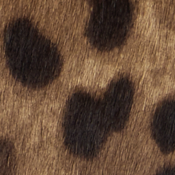 Leopardo-cláss./cast-cast