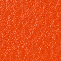 Orange vendange