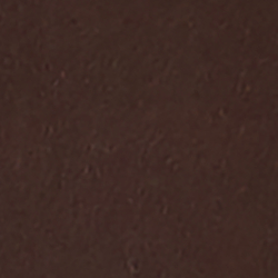 Chestnut Brown