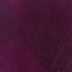 Gold/Purple