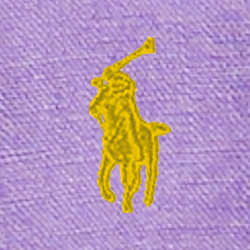 Purple Martin