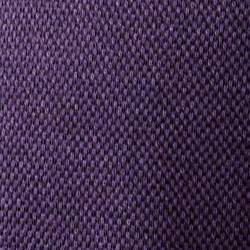 Purple Thistle Melange